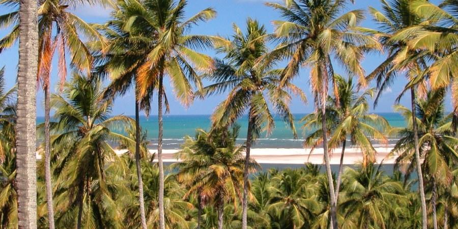 Barravilha Chales Barra do Cunhau Bagian luar foto